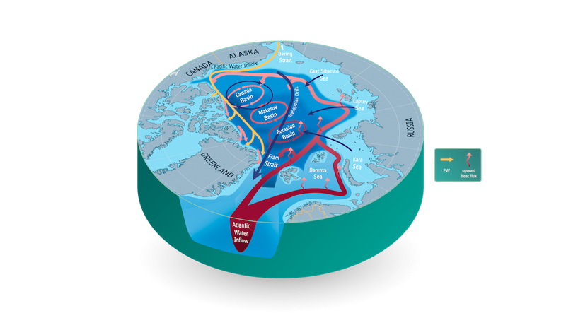 Circulation of the surface water (blue), intermediate Pacific Water (pink/blue), and Atlantic Water (red) of the Arctic Ocean. The cross-ECV project ARCFRESH aims to enhance knowledge of Arctic freshwater processes using ESA Climate Change Initiative data