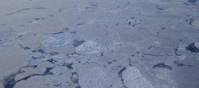 Arctic