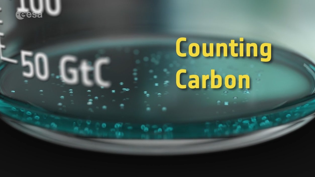 Video - Counting Carbon