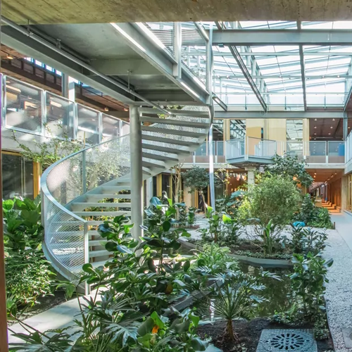 Enschede-Langezijds-binnentuin-met-trap