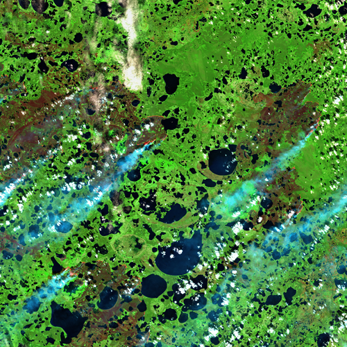 Peat fires in Siberia, 2 July 2020. Credit: European Union. Contains modified Copernicus Sentinel data (2026), processed with Copernicus Browser