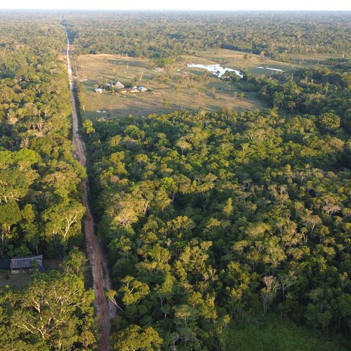 Small_clearing_in_tropical_forest