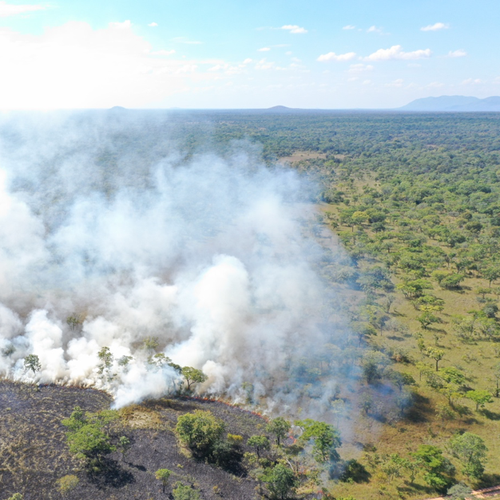 Savanna fire in Mozambique at a scale that would not be detected by conventional burned area that has been used for global-scale burned area mapping but is detected with the satellite data used in this study (photo-credit: Tom Eames)
